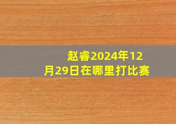 赵睿2024年12月29日在哪里打比赛