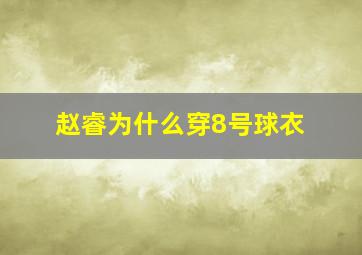 赵睿为什么穿8号球衣