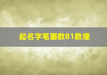 起名字笔画数81数理