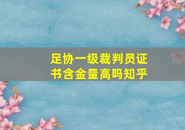 足协一级裁判员证书含金量高吗知乎