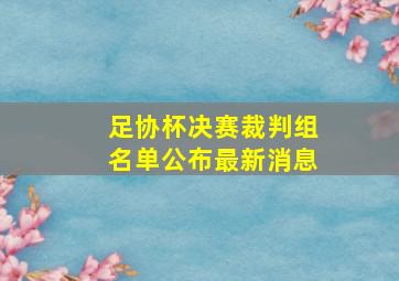 足协杯决赛裁判组名单公布最新消息