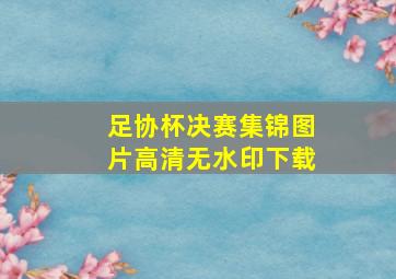 足协杯决赛集锦图片高清无水印下载