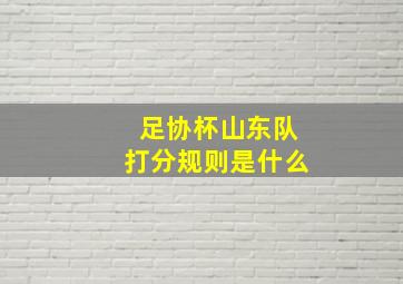 足协杯山东队打分规则是什么