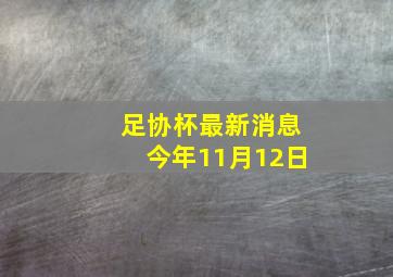 足协杯最新消息今年11月12日