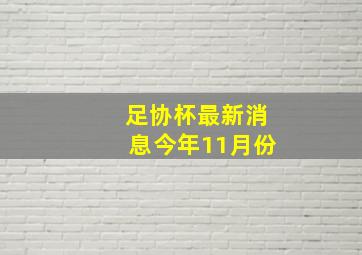 足协杯最新消息今年11月份