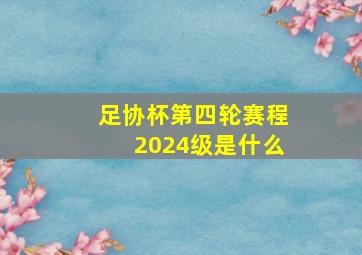 足协杯第四轮赛程2024级是什么