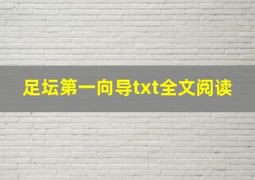 足坛第一向导txt全文阅读