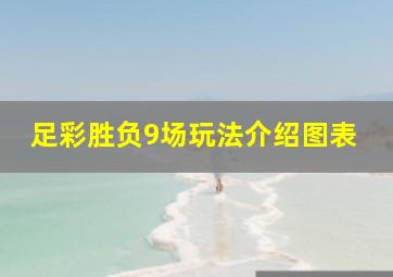 足彩胜负9场玩法介绍图表