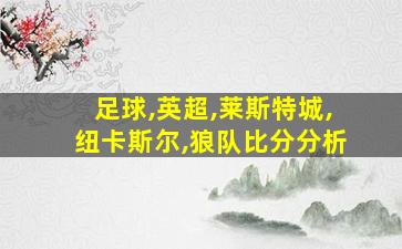 足球,英超,莱斯特城,纽卡斯尔,狼队比分分析