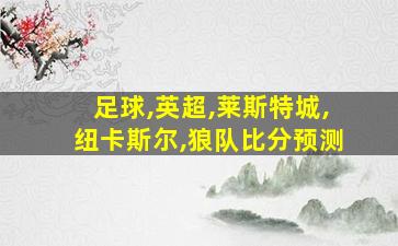 足球,英超,莱斯特城,纽卡斯尔,狼队比分预测