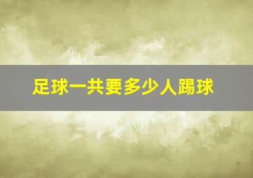 足球一共要多少人踢球