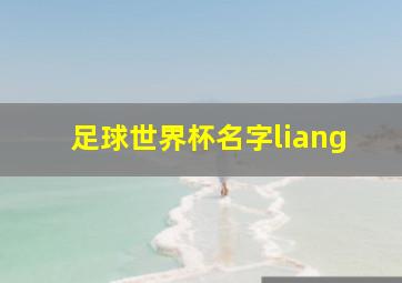 足球世界杯名字liang