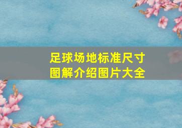 足球场地标准尺寸图解介绍图片大全