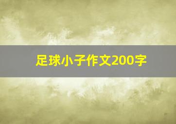 足球小子作文200字