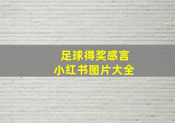 足球得奖感言小红书图片大全