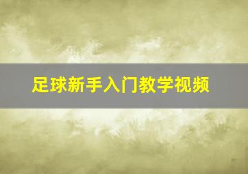 足球新手入门教学视频