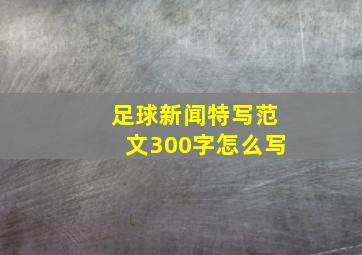 足球新闻特写范文300字怎么写