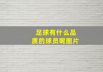 足球有什么品质的球员呢图片