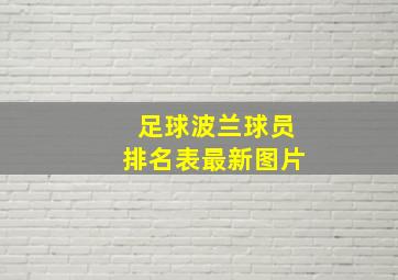 足球波兰球员排名表最新图片