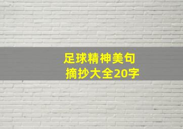 足球精神美句摘抄大全20字