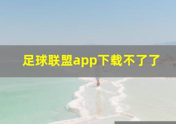 足球联盟app下载不了了