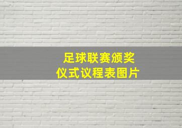 足球联赛颁奖仪式议程表图片