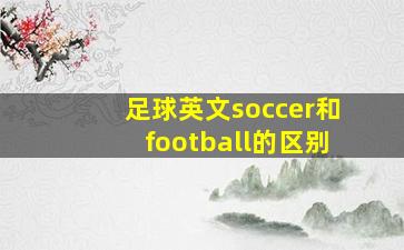 足球英文soccer和football的区别