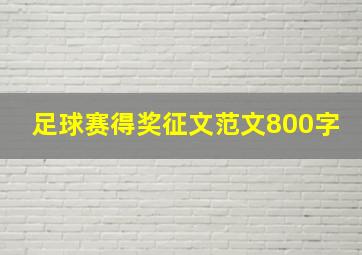 足球赛得奖征文范文800字