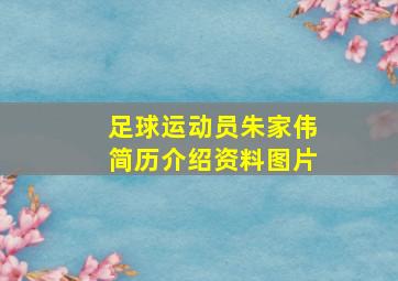 足球运动员朱家伟简历介绍资料图片