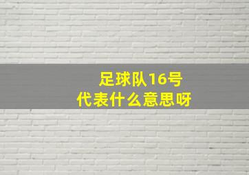 足球队16号代表什么意思呀