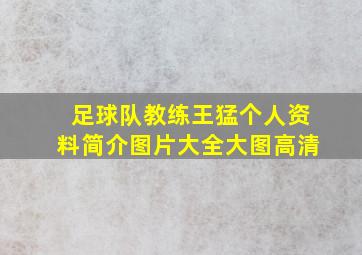 足球队教练王猛个人资料简介图片大全大图高清