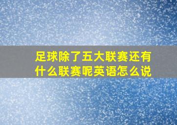 足球除了五大联赛还有什么联赛呢英语怎么说