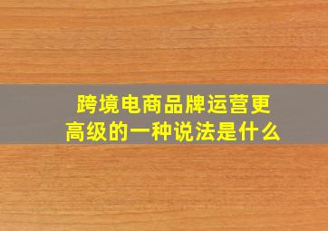 跨境电商品牌运营更高级的一种说法是什么