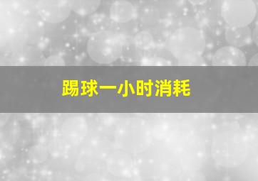 踢球一小时消耗