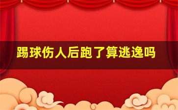 踢球伤人后跑了算逃逸吗