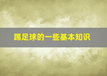 踢足球的一些基本知识