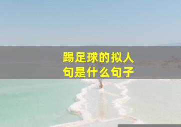 踢足球的拟人句是什么句子