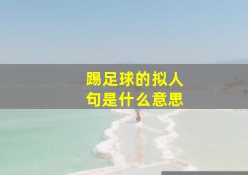 踢足球的拟人句是什么意思