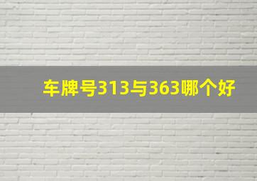 车牌号313与363哪个好