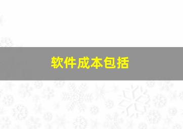 软件成本包括