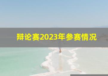 辩论赛2023年参赛情况