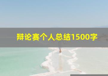 辩论赛个人总结1500字