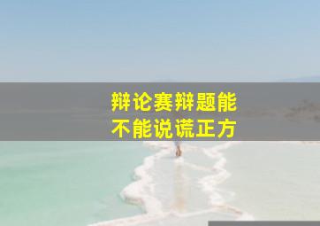 辩论赛辩题能不能说谎正方