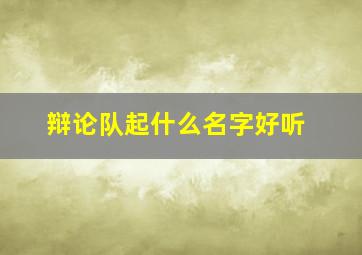 辩论队起什么名字好听