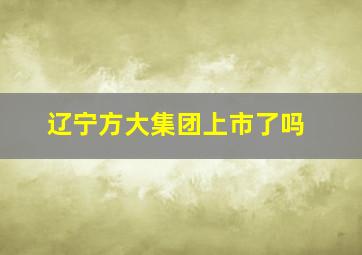 辽宁方大集团上市了吗