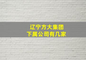 辽宁方大集团下属公司有几家