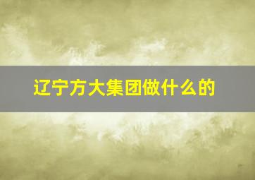 辽宁方大集团做什么的