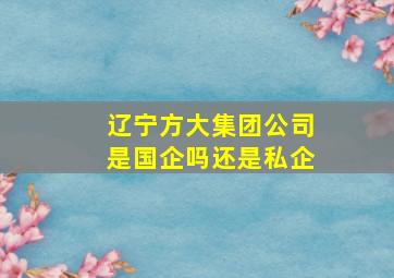 辽宁方大集团公司是国企吗还是私企