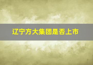 辽宁方大集团是否上市