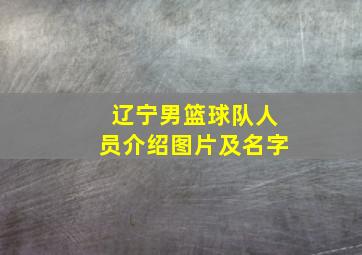 辽宁男篮球队人员介绍图片及名字